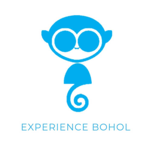 experience bohol private tours
